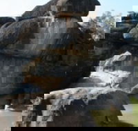 Cranky Rock Nature Reserve