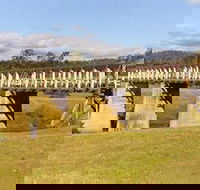 Historic Tabulam DeBurgh Timber Bridge - Hotel VIC