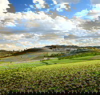 Hodgson Vale - Hotel VIC