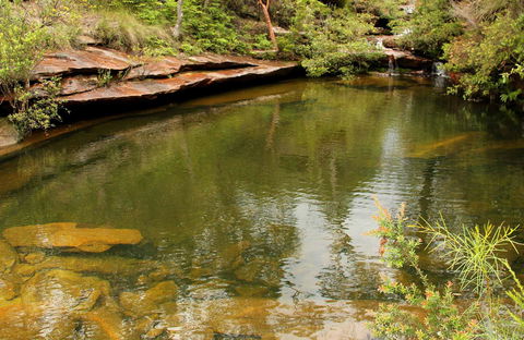 Hominy Creek Walking Track - Hotel VIC 0