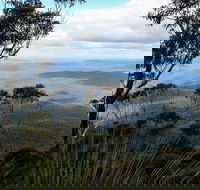 Mount Imlay National Park - Hotel VIC