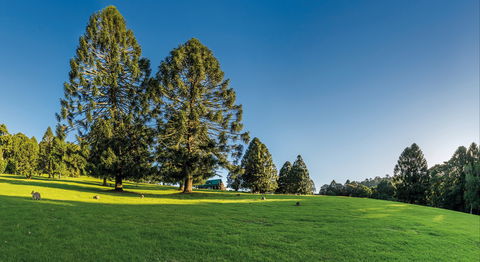 National Parks And Artisan Stories - Hotel VIC 0