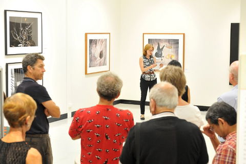 Pine Rivers Art Gallery - Hotel VIC 1