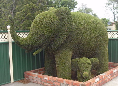 Railton: Town Of Topiary - Hotel VIC 0