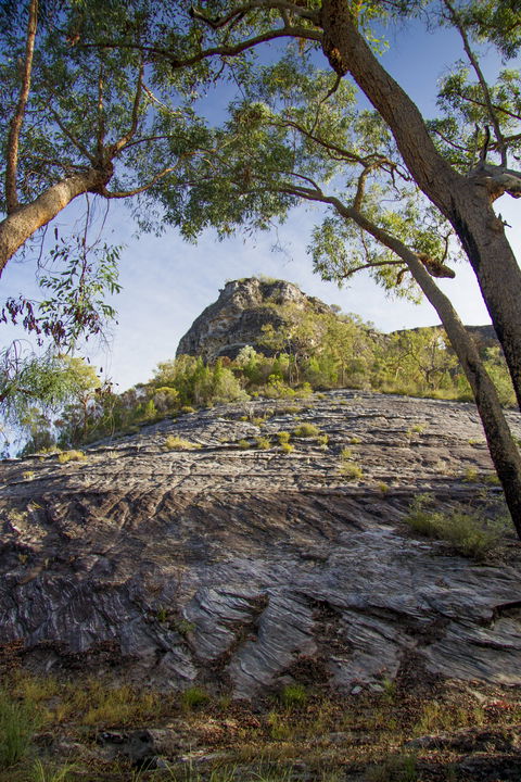 Salvator Rosa, Carnarvon National Park - Hotel VIC 1