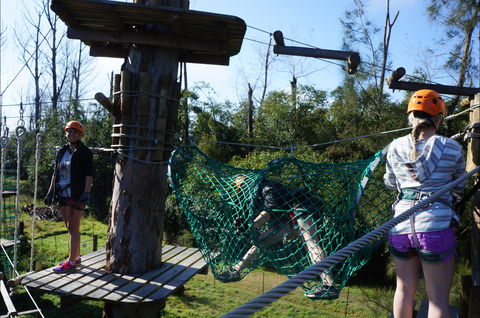 Trees Adventure - Lane Poole Park - Hotel VIC 0