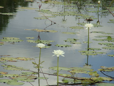 Djukbinj National Park - Hotel VIC 1