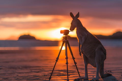 Explore The Mackay Region In Three Days - Hotel VIC 0