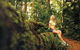Explore The Mackay Region In Three Days - thumb 1