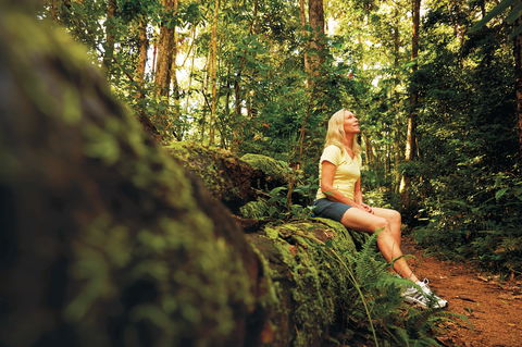 Explore The Mackay Region In Three Days - Hotel VIC 1