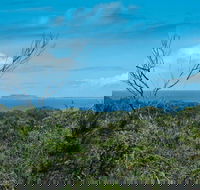 Forest Walking Track Crowdy Bay National Park - Hotel VIC