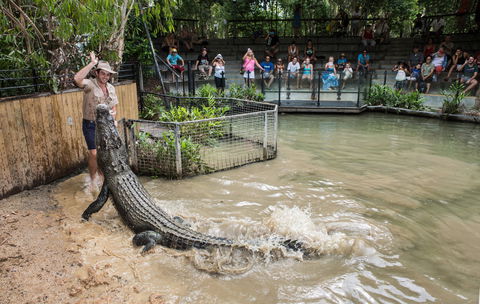 Hartley's Crocodile Adventures - Hotel VIC 0
