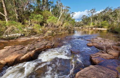 Little Dandahra Creek Walking Track - Hotel VIC 0