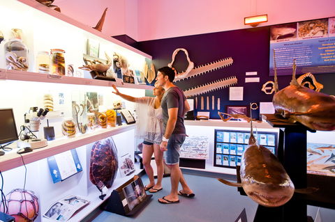 Marine Discovery Centre Hastings Point - Hotel VIC 1