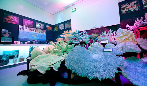 Marine Discovery Centre Hastings Point - Hotel VIC 2