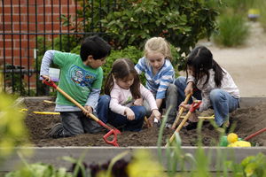 The Ian Potter Foundation Children's Garden