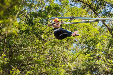 TreeTop Crazy Rider - Hotel VIC 0