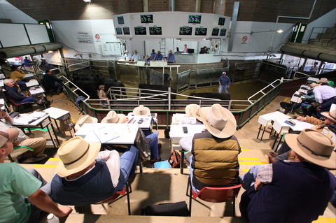 Wagga Wagga Livestock Marketing Centre - Hotel VIC 2