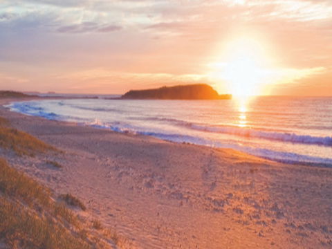 Warilla Beach: Shellharbour - Hotel VIC 0