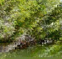 Berry Springs Nature Park - Hotel VIC
