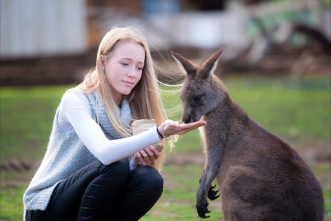 Bonorong Wildlife Sanctuary - Hotel VIC 1
