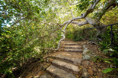 Capricorn Coast National Park - Hotel VIC 2