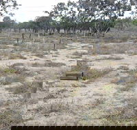 Culgoa Connellys Track - Hotel VIC