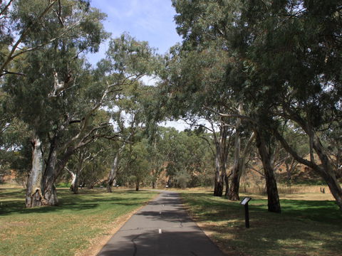 Dead Mans Pass - Hotel VIC 0