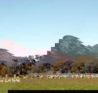 Grampians - Hotel VIC