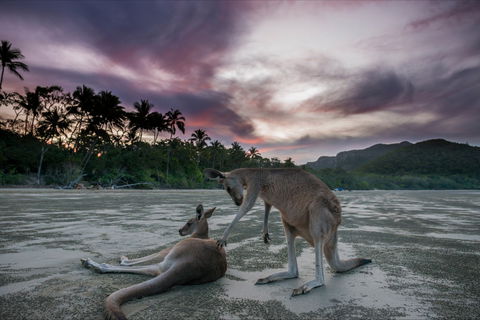 How To Holiday On The Hibiscus Coast With Your Family - Hotel VIC 0
