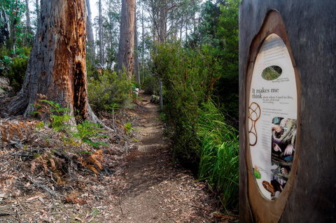 Lake St Clair (Cradle Mountain  - Lake St Clair National Park) - Hotel VIC 2