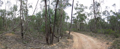 Paddys Ranges State Park - Hotel VIC 0