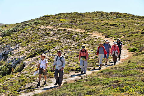 The Sole Walk At Hillocks Drive - Hotel VIC 0