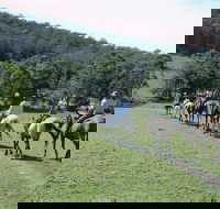 Timbertops - Horse Riding - Hotel VIC