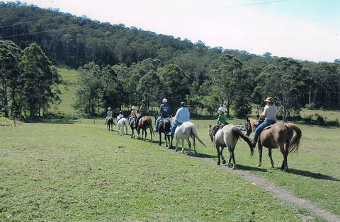 Timbertops - Horse Riding - Hotel VIC 0