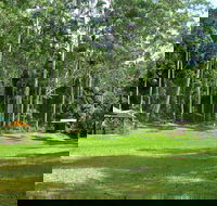 Woolgoolga Creek Picnic Area - Hotel VIC