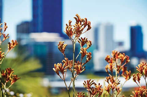 A Day In Perth - Hotel VIC 1