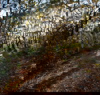 Booderee National Park Munyunga Waraga Dhugan Walking Trail - Hotel VIC
