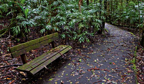 Coombadjha Nature Stroll - Hotel VIC 0