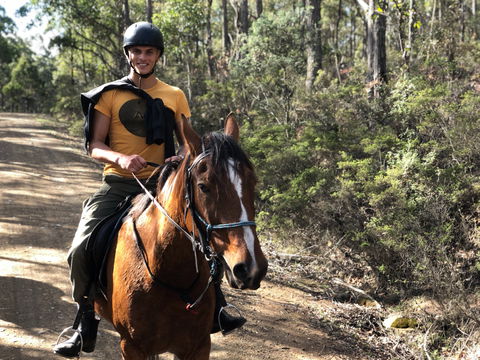 Horse Riding Tasmania - Hotel VIC 2