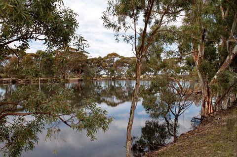 Merredin Railway Dam - Hotel VIC 0