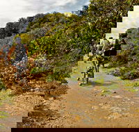 Mountain Biking Trails - Hotel VIC