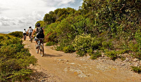 Mountain Biking Trails - Hotel VIC 0