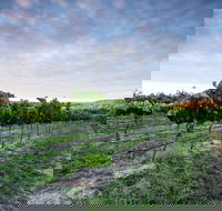 Nature and Foodies Trail - Hotel VIC