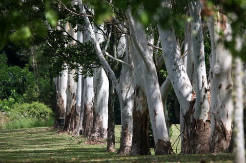Teven Valley Golf Course - Hotel VIC 1