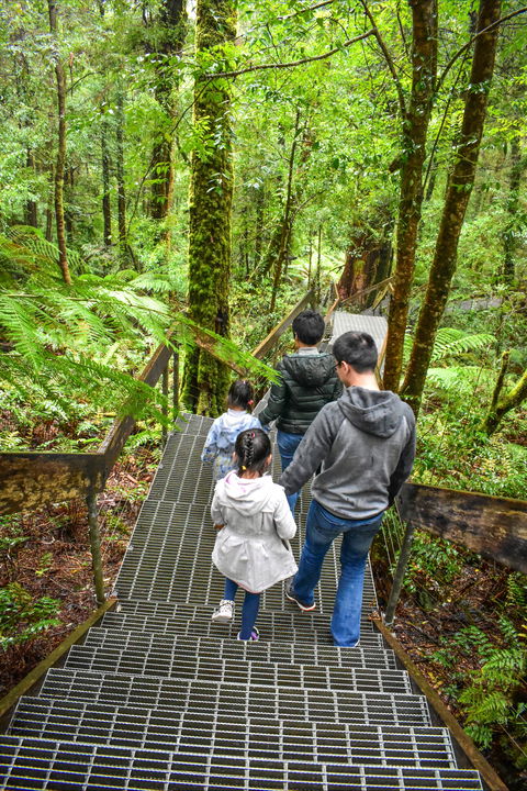 Yarra Ranges National Park - Hotel VIC 0