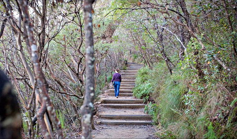 Princes Rock Walking Track - Hotel VIC 0