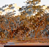 Yawura Yarun - Hotel VIC