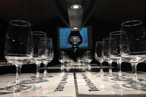 Hunter Valley Wine Theatre - Hotel VIC 2