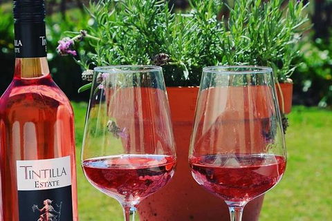 Tintilla Estate: Wine Tasting With A Meat And Cheese Platter - Hotel VIC 6